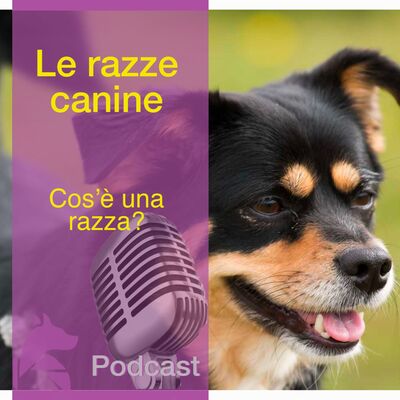 LE RAZZE - Cos'è una Razza?