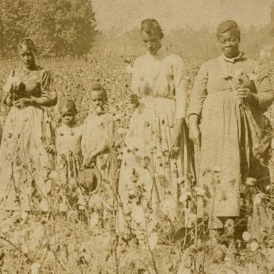 The Economy That Slavery Built