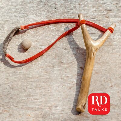 Guerreschi and the bluebottle fly