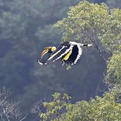 ep6. 观鸟是我探索自然和城市生活b面的方式