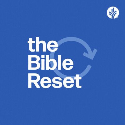 220. The Bible Reset | Discover the Word Podcast
