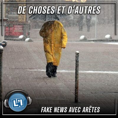 Fake news avec arêtes - S04E146