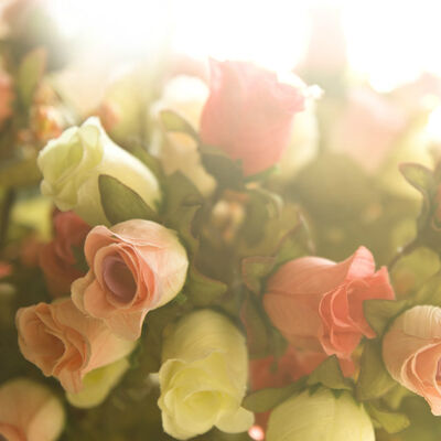 27 春暖花开，当心冷柜病