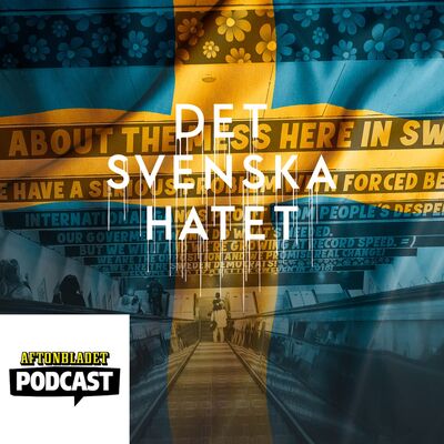 Del 37 Kampanjen mot tiggarna