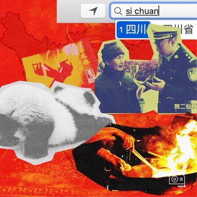 EP224：我是四川人，请攻击我最薄弱的地方