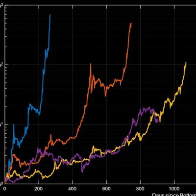 COSA STA SUCCEDENDO realmente al BITCOIN in questa BULL RUN