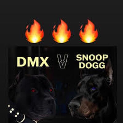 DMX VS Snoop