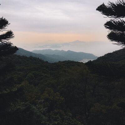 源界1记忆之探S03E11