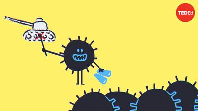 How can we solve the antibiotic resistance crisis? | Gerry Wright