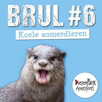 Koele zomerdieren | BRUL #6