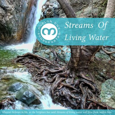 Muflon Dub Soundsystem -Streams Of Living Water (preview)