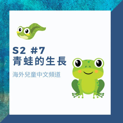 S2#7 青蛙的生長 