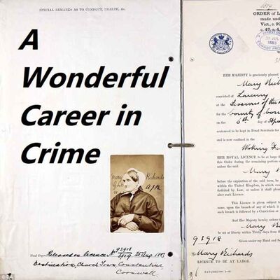 A Wonderful Career in Crime