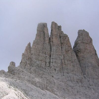 Alla scoperta di Hans Steger - Vieni in via con Matteo Bertolotti
