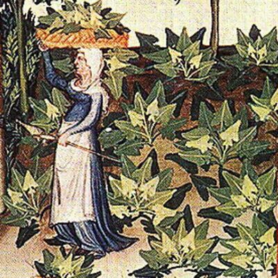 Zomer: Historische Heerlijkheden 