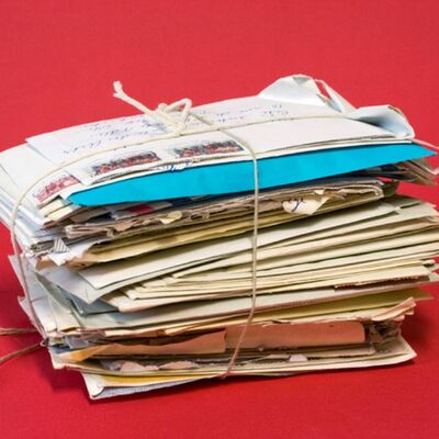 278: rare-platypus-1372