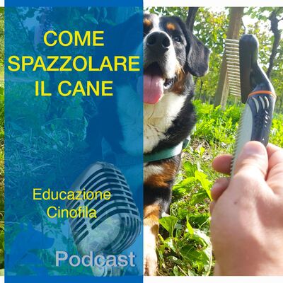 Come Spazzolare il Cane