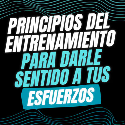 #51 PRINCIPOS DEL ENTRENAMIENTO PARA DARLE SENTIDO A TUS ESFUERZOS