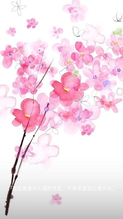 壹段戀情可以令人絕望到什么地步？