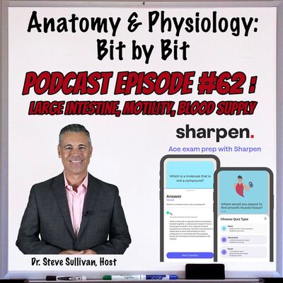 Large Intestine, Motility, Blood Supply plus SHARPEN- Episode 62