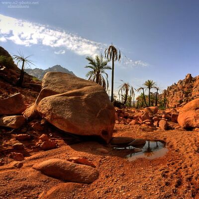 لقيت في حايل - جازي الأسلمي