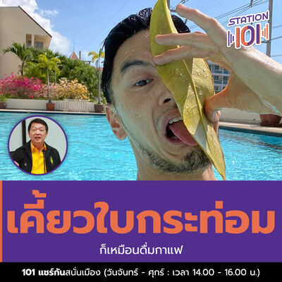 101 แชร์กันสนั่นเมือง l เคี้ยวใบกระท่อมก็เหมือนดื่มกาแฟ