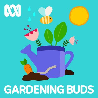 Gardening Buds 06 What happens after you plant your garden?
