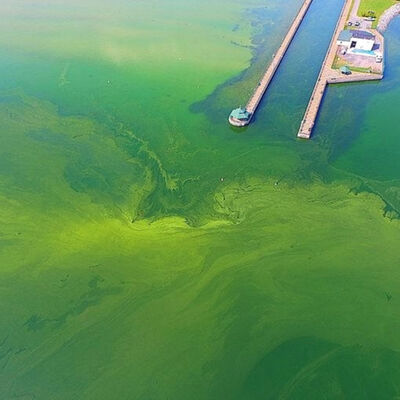 POTUS vs. WOTUS: What Side of the Clean Water Debate Should Farmers Be On?