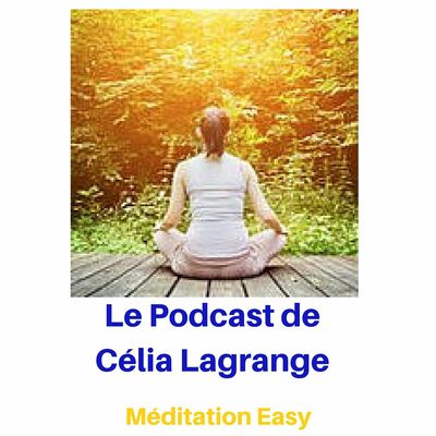 12. La Méditation  Les Fausses Idées Et Préjugés