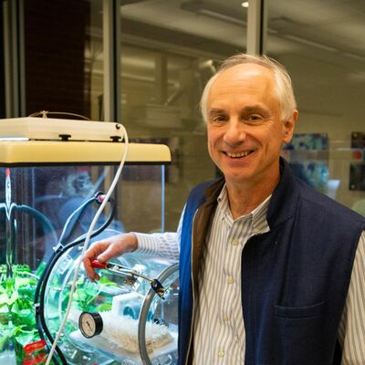 Has This Scientist Found The Way To Save The World From CO2?