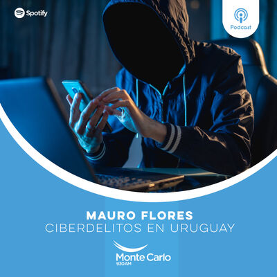 Ciberdelitos