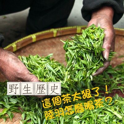 這個茶太狠了！陸羽究竟是怎麼喝茶？