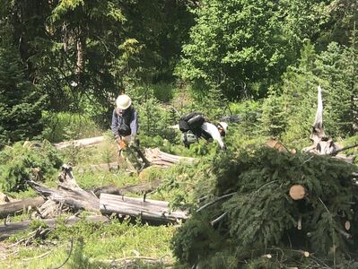 'Asbestos forest' burns; Fire prevention work begins around Butte's water supply