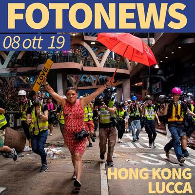 Fotonews #03 del 8 ottobre 2019