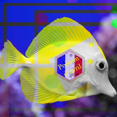 El Hexágono - Poisson d'avril - 01/04/23