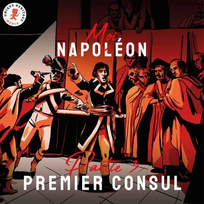 Partie 3 : Premier consul
