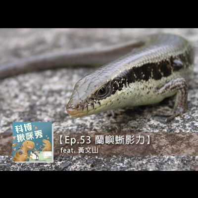 EP.53 蘭嶼蜥影力 feat. 黃文山 aka 論文發表大咖