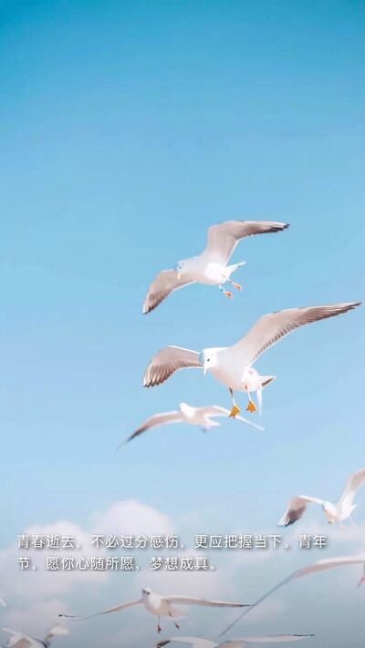 在被抖音轟炸死之前，你還差多少空虛