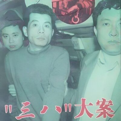 沈阳特大三八串案｜中国最狠犯罪团伙，铁幕终会被掀翻