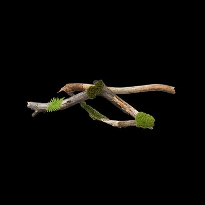 空總時空旅行 EP13：空總園區轉化為文化美學公園