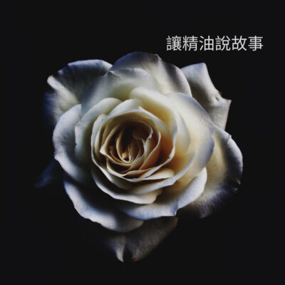 英國SP台灣 讓精油說故事 月桂葉