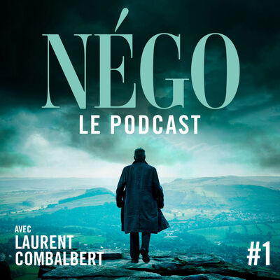 1. Le Professionnel