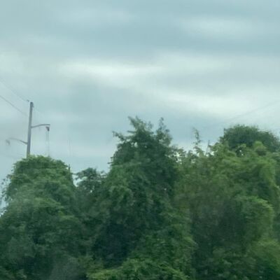 ASMCAR- eating pop rocks and random candy 