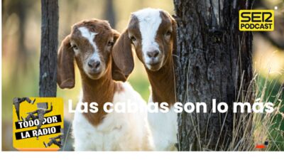 Todo por la Radio | Las cabras son lo más