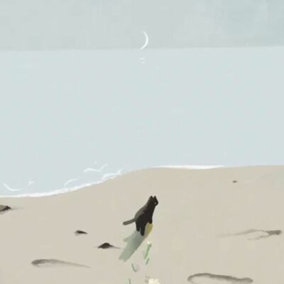 #故事散步：【Manson : 聖地牙哥這裡的海岸】