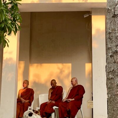 E207 是拉差：解脱园寺的万佛节