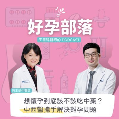 想懷孕到底該不該吃中藥？中西醫攜手解決難孕問題 ft. 陳玉娟中醫師｜好孕部落第三季 Ep.3 