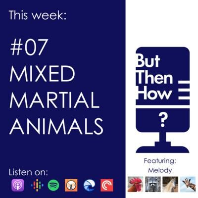07 - Mixed Martial Animals (Melody)