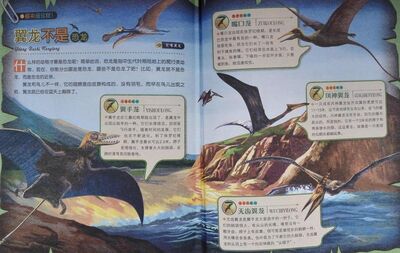 恐龙大揭秘_13翼龙不是恐龙