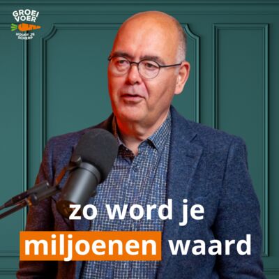 #347 - Zo word je miljoenen waard. De exitstrategie van topondernemer Dennis Kuipers